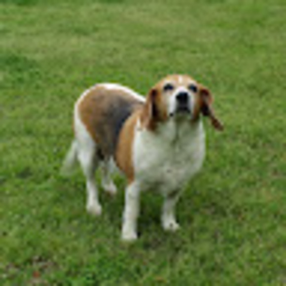 Meet your Posher, Keith - Picture 1 of 1